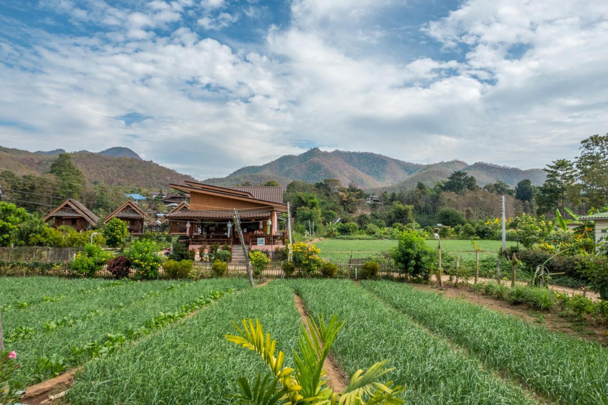 The Nest House Hotel Pai Exterior photo
