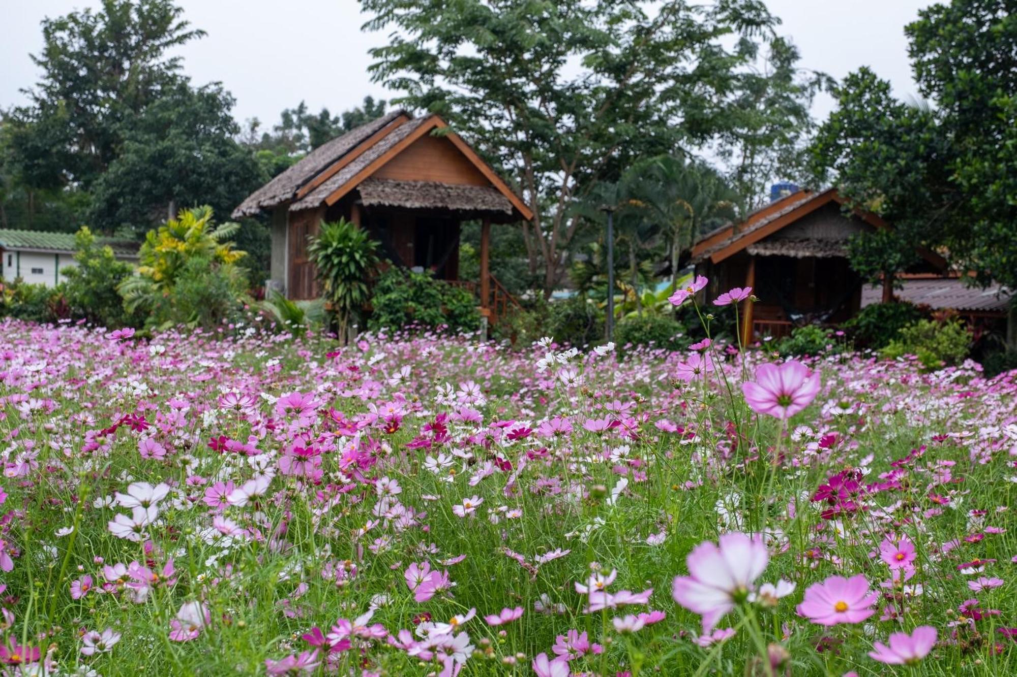 The Nest House Hotel Pai Exterior photo