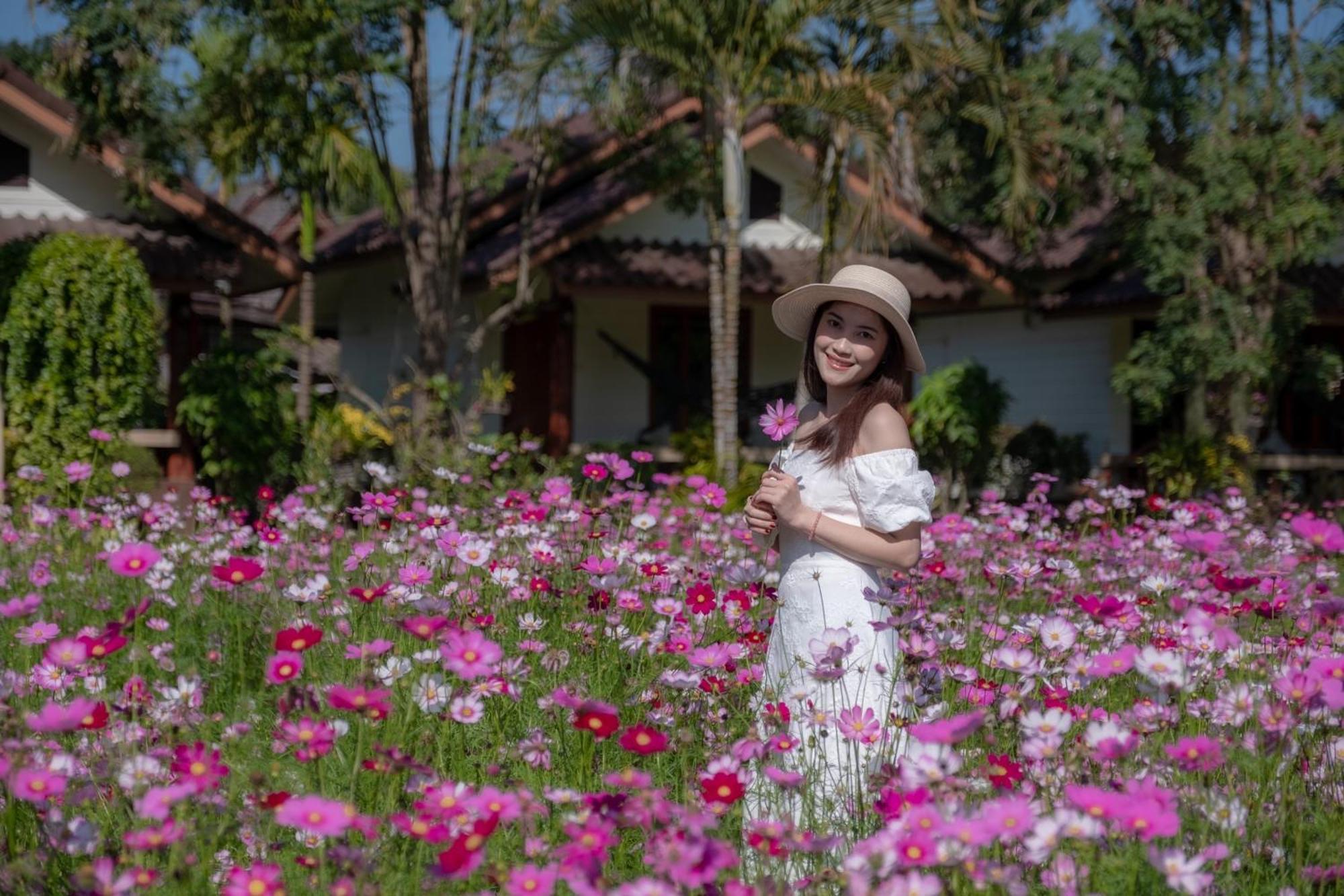 The Nest House Hotel Pai Exterior photo