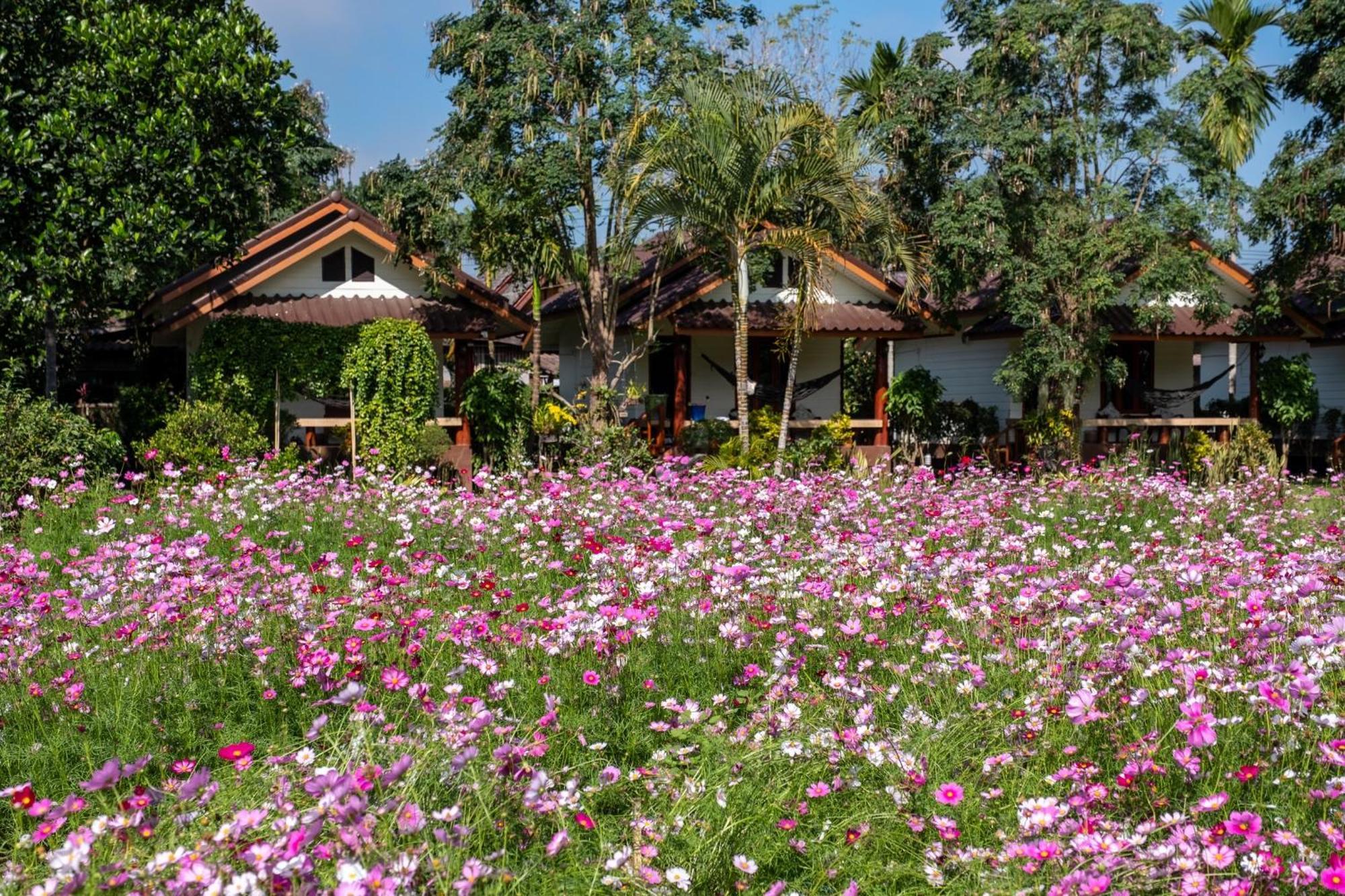 The Nest House Hotel Pai Exterior photo
