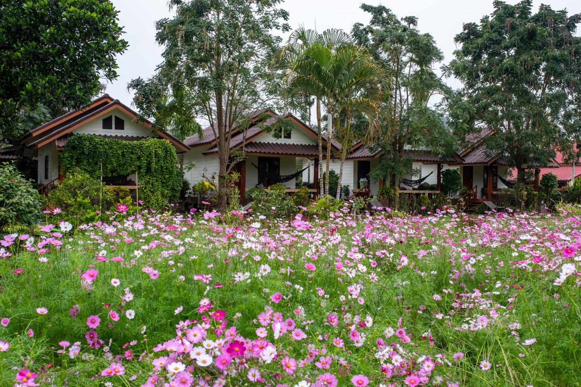 The Nest House Hotel Pai Exterior photo