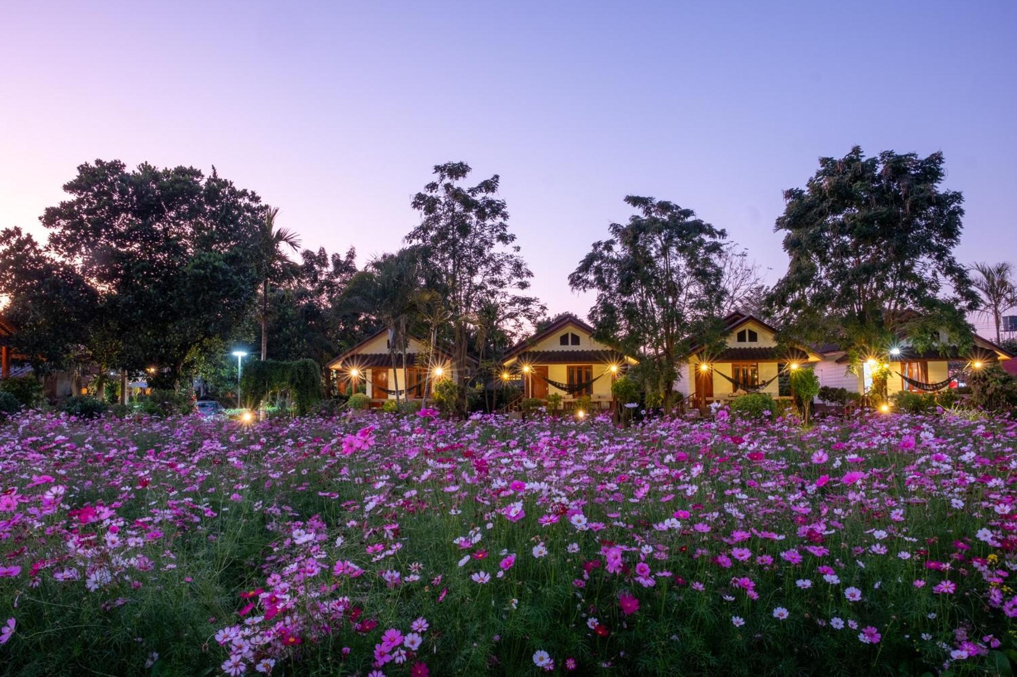 The Nest House Hotel Pai Exterior photo