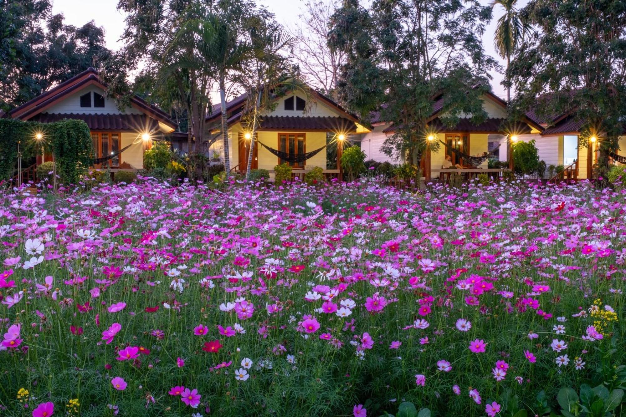 The Nest House Hotel Pai Exterior photo