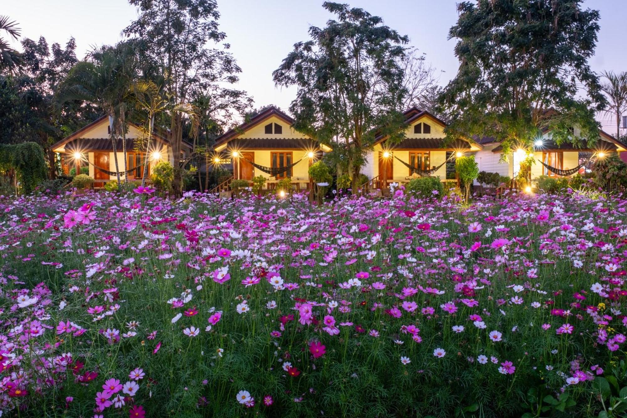 The Nest House Hotel Pai Exterior photo