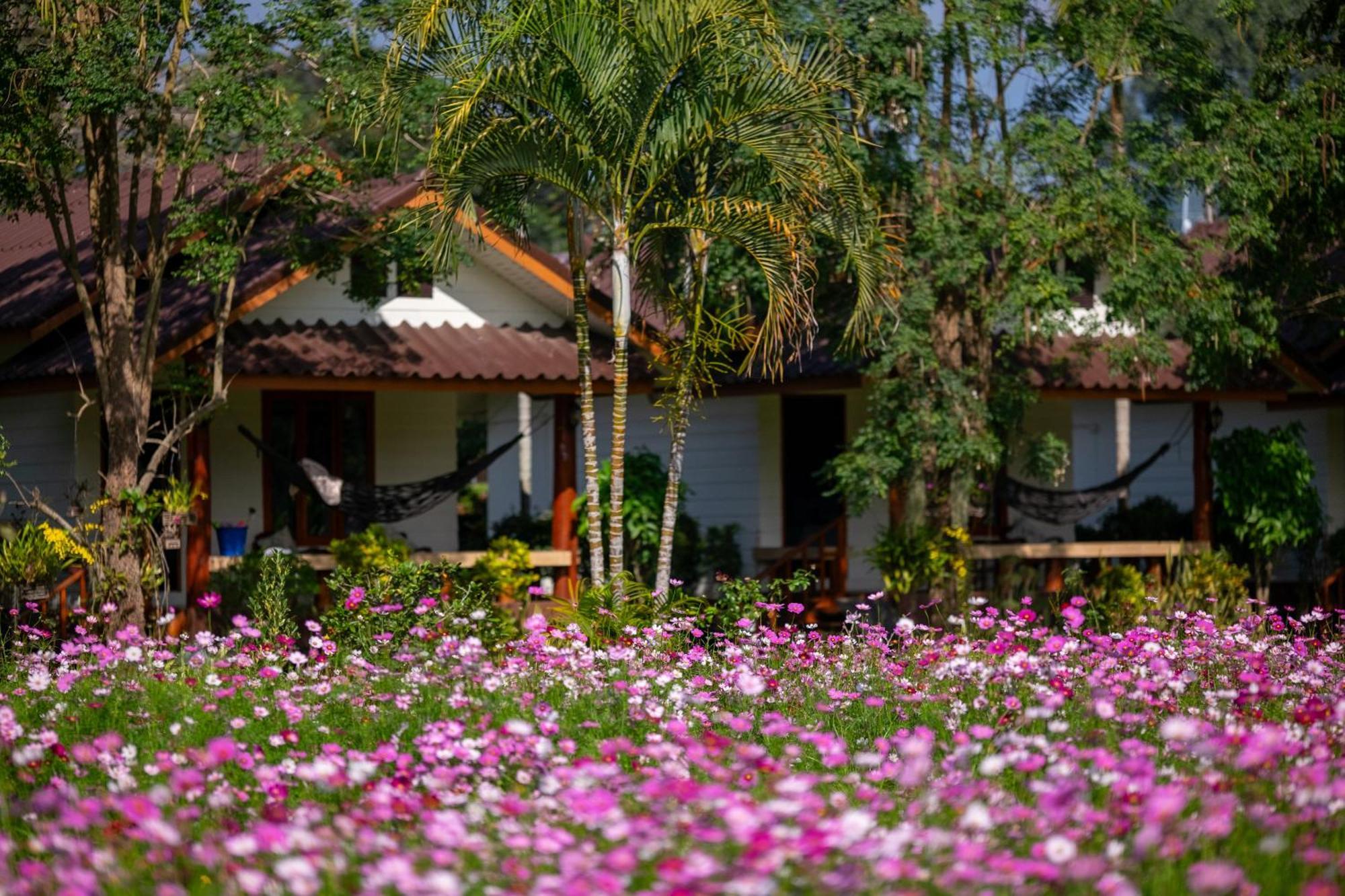 The Nest House Hotel Pai Exterior photo