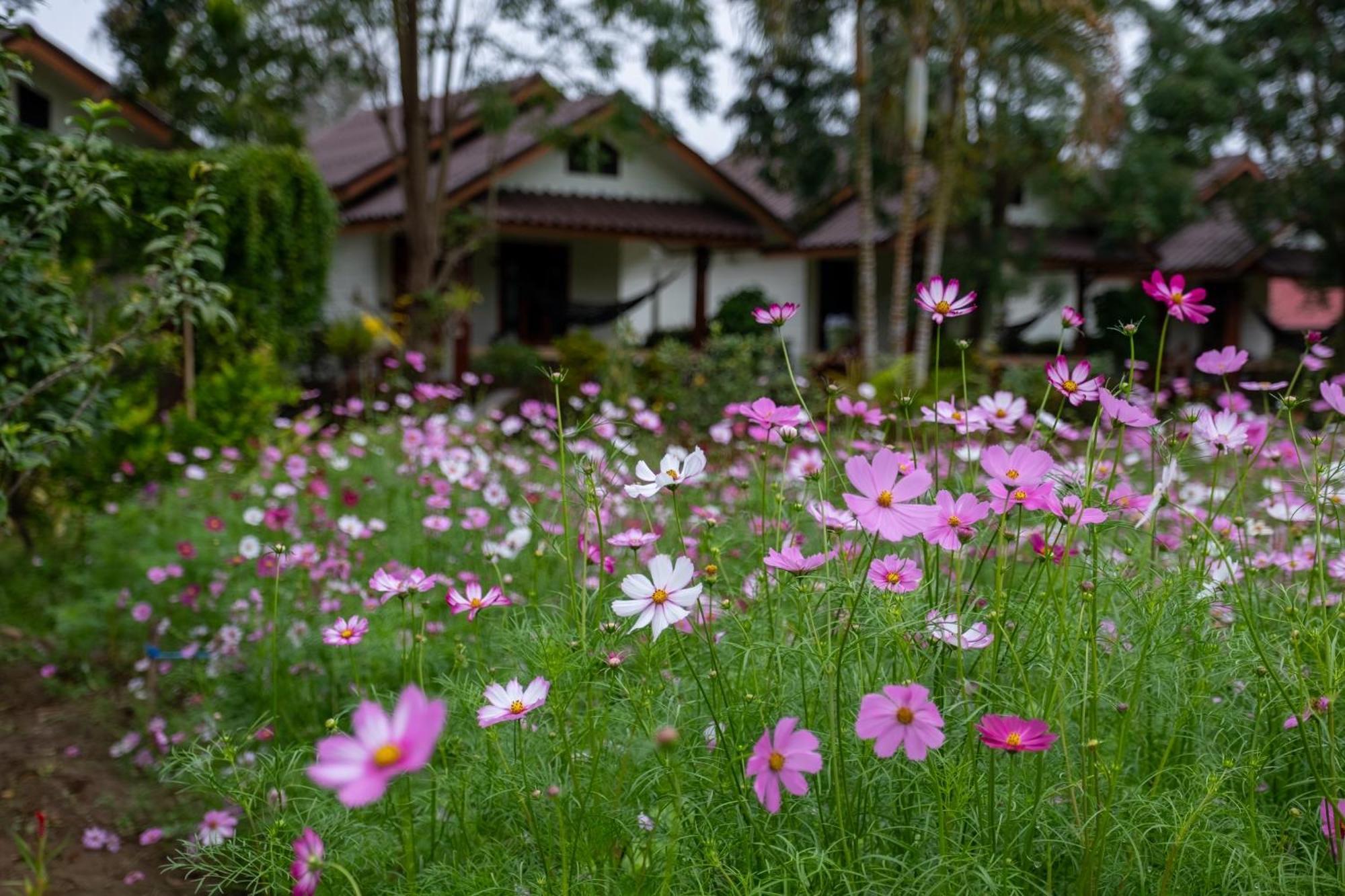 The Nest House Hotel Pai Exterior photo