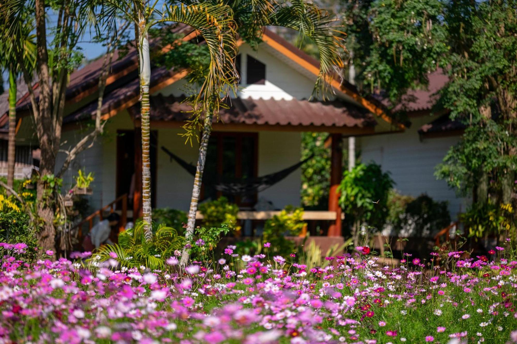 The Nest House Hotel Pai Exterior photo