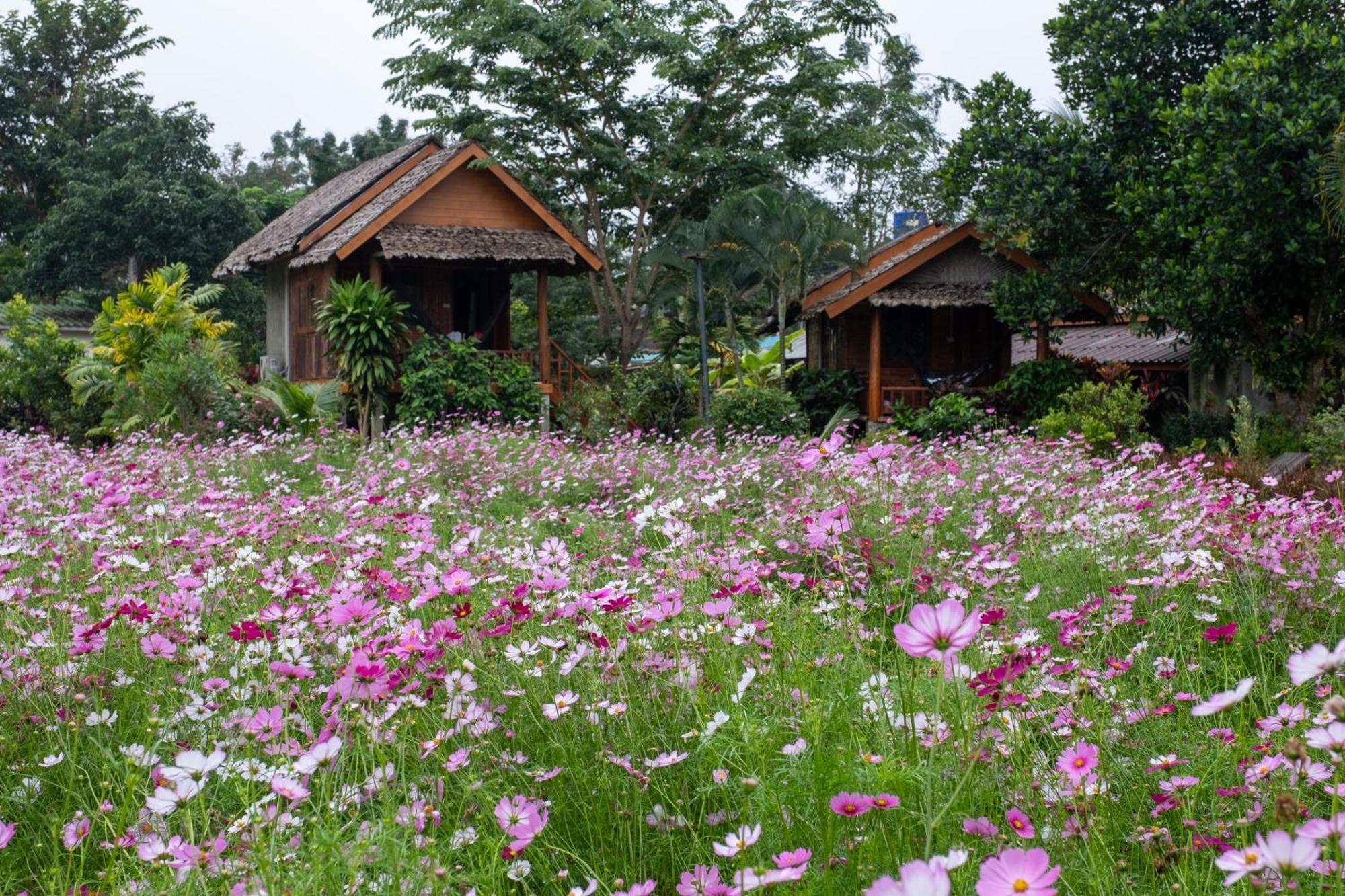 The Nest House Hotel Pai Exterior photo