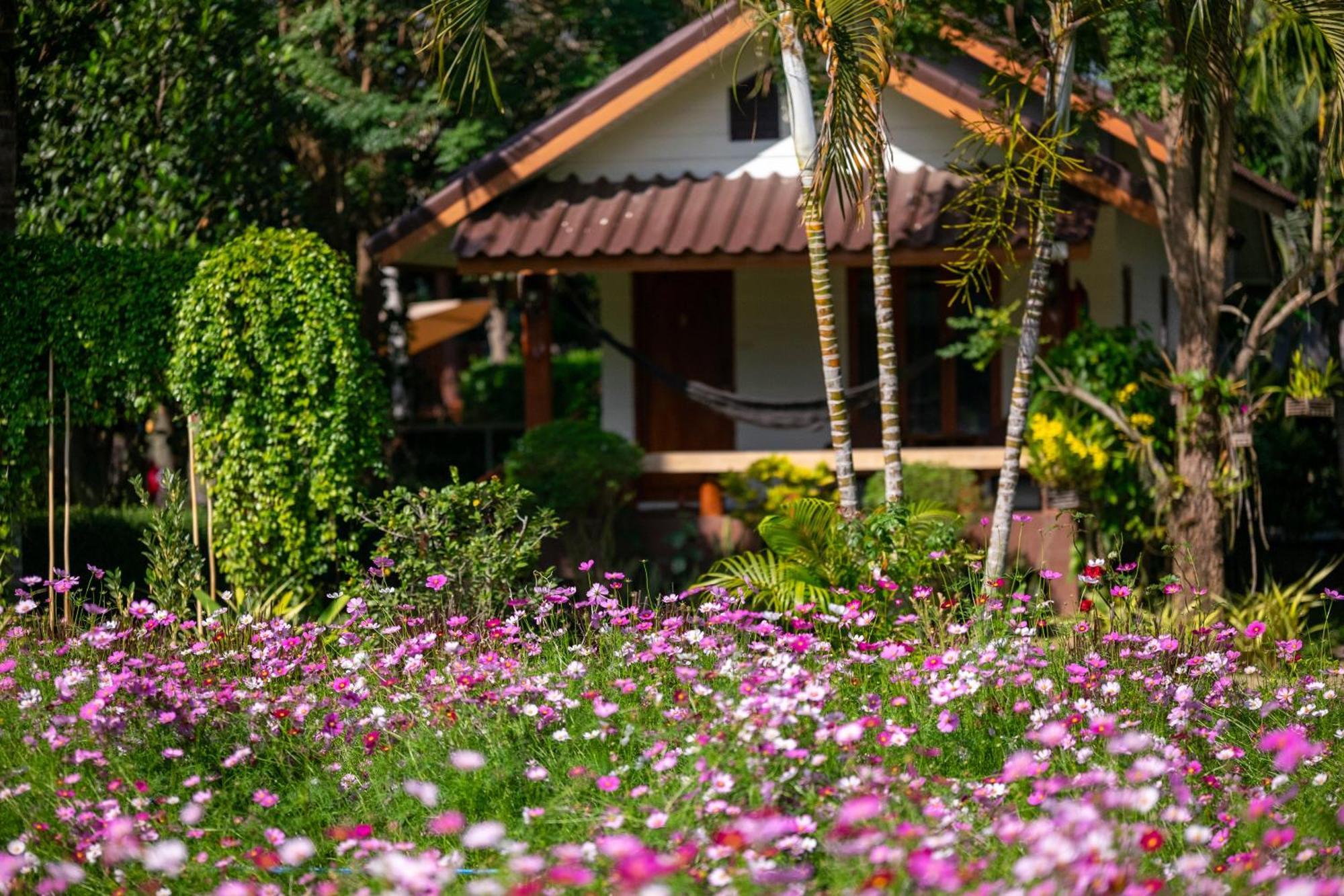 The Nest House Hotel Pai Exterior photo